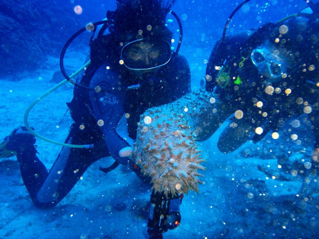 [P8240726[2].jpg]