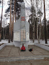 Памятник ВОВ В Порошино
