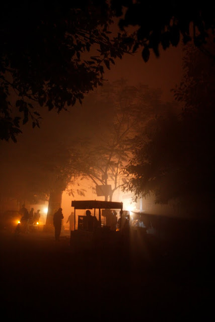 Cart Puller in the delhi fog