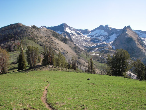 guide to great sex. This edition of Sun Valley Runs features a classic ... Video quality: 22 ...