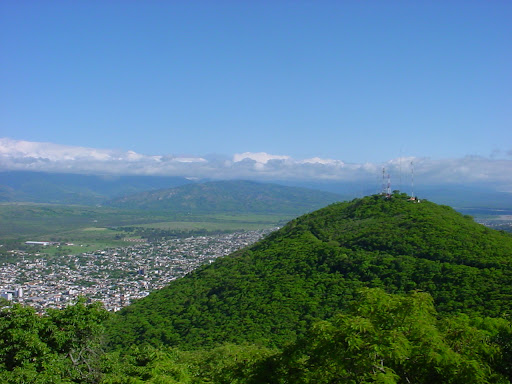 flora jujuy