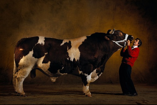 [Feira da Agricultura - assim na Holanda (4)[3].jpg]