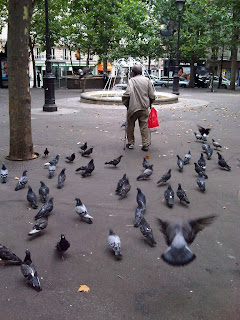  Jardin Luxembourg et Paris rive gauche