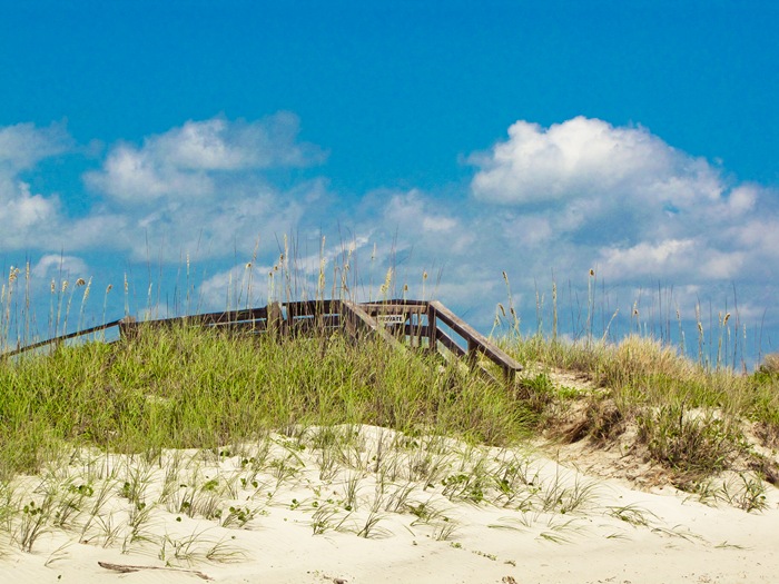 dunesatbeach (1 of 1)