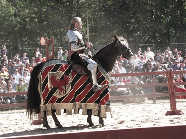 joustknight (1 of 1)