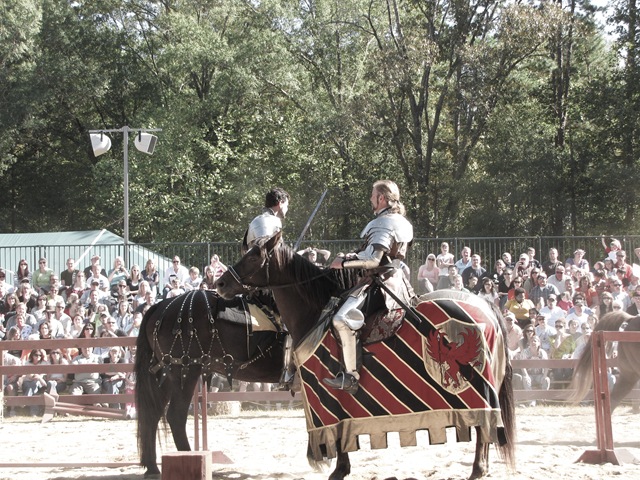 joustknight2 (1 of 1)
