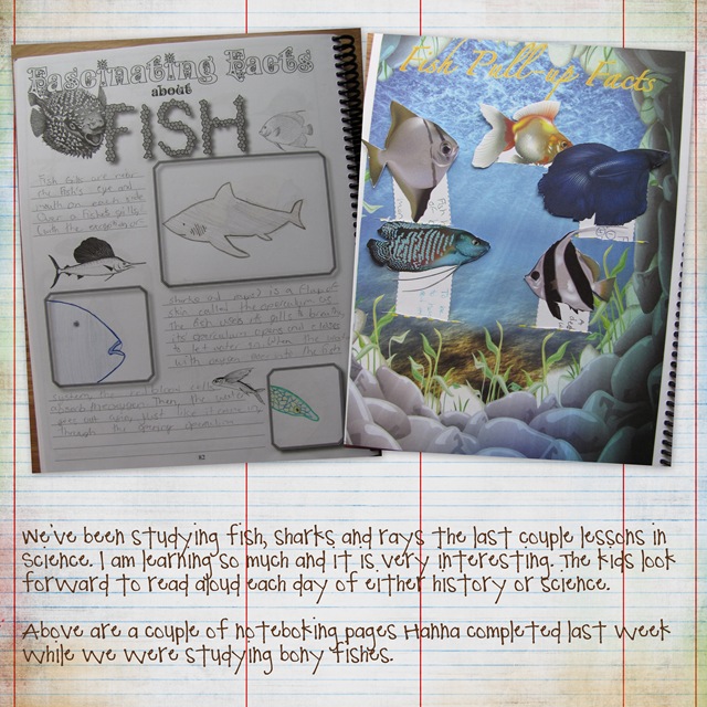 Sbook Papers29