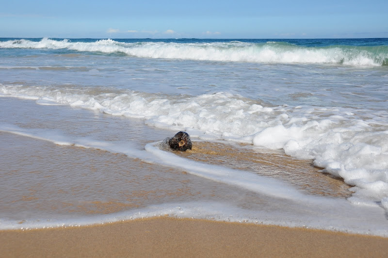 Пляжи Мира, прекрасные и ужасные (фото)