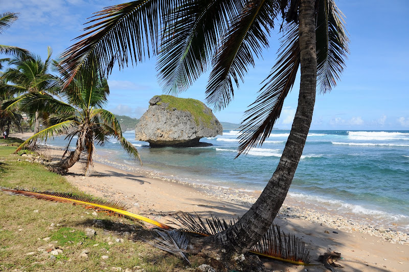 Пляжи Мира, прекрасные и ужасные (фото)