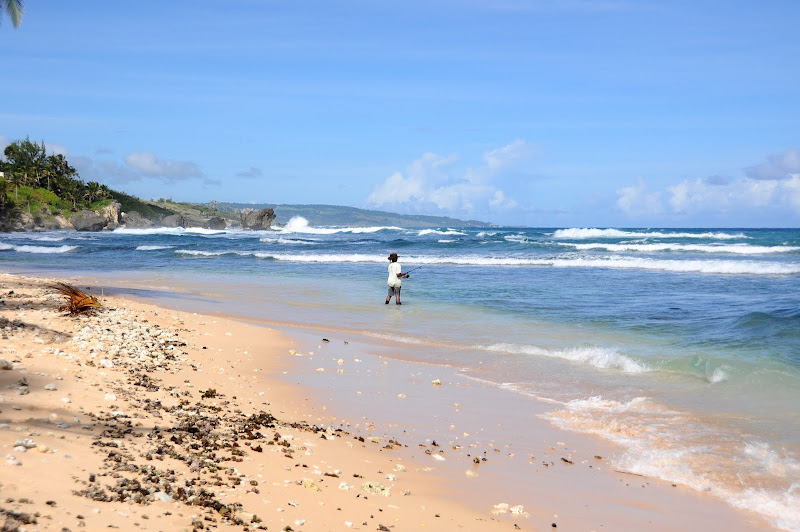 Пляжи Мира, прекрасные и ужасные (фото) Пляжи Мира, прекрасные и ужасные (фото)