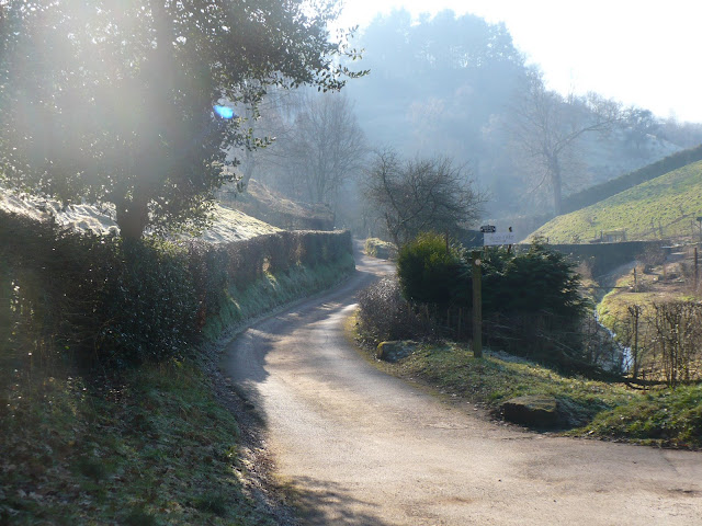lovely shot of a country lane - T Price                     