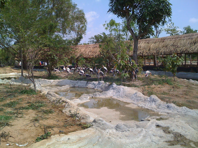 đại nam bình dương - ai đì chơi tết tây về chỉ giáo với - 8