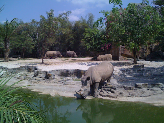 đại nam bình dương - ai đì chơi tết tây về chỉ giáo với - 11