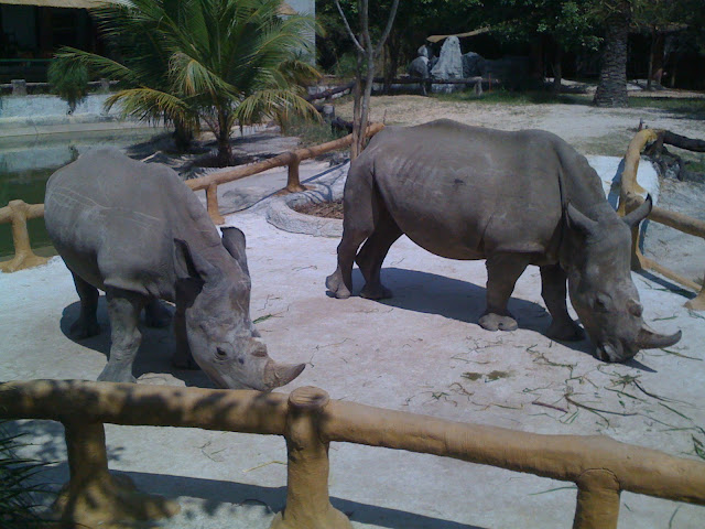 đại nam bình dương - ai đì chơi tết tây về chỉ giáo với - 12