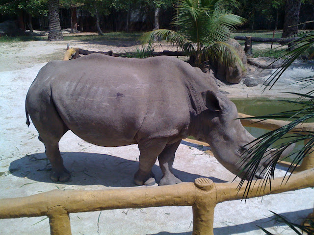 đại nam bình dương - ai đì chơi tết tây về chỉ giáo với - 14