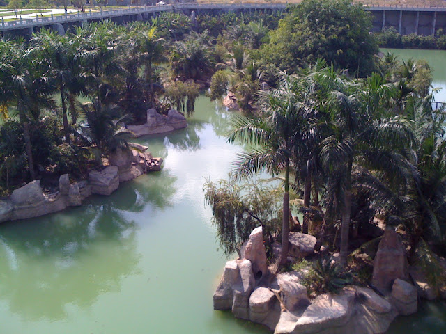 đại nam bình dương - ai đì chơi tết tây về chỉ giáo với - 21