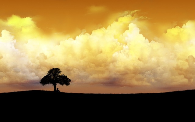 [alonetreeleftwallpapers_1125_1440x90[1].jpg]