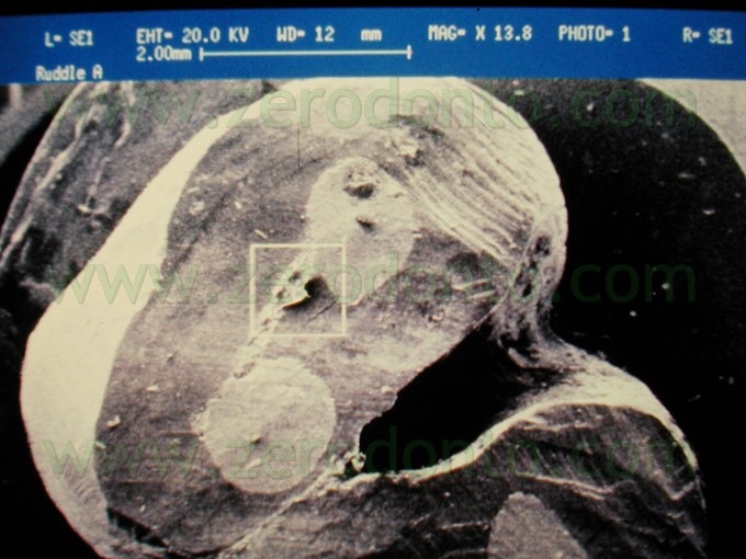 [Fig.32a5.jpg]