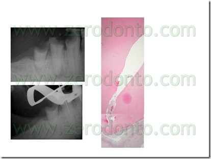 Diapositiva1