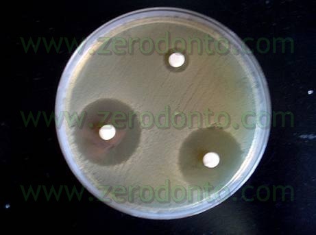 [fig 9[4].jpg]