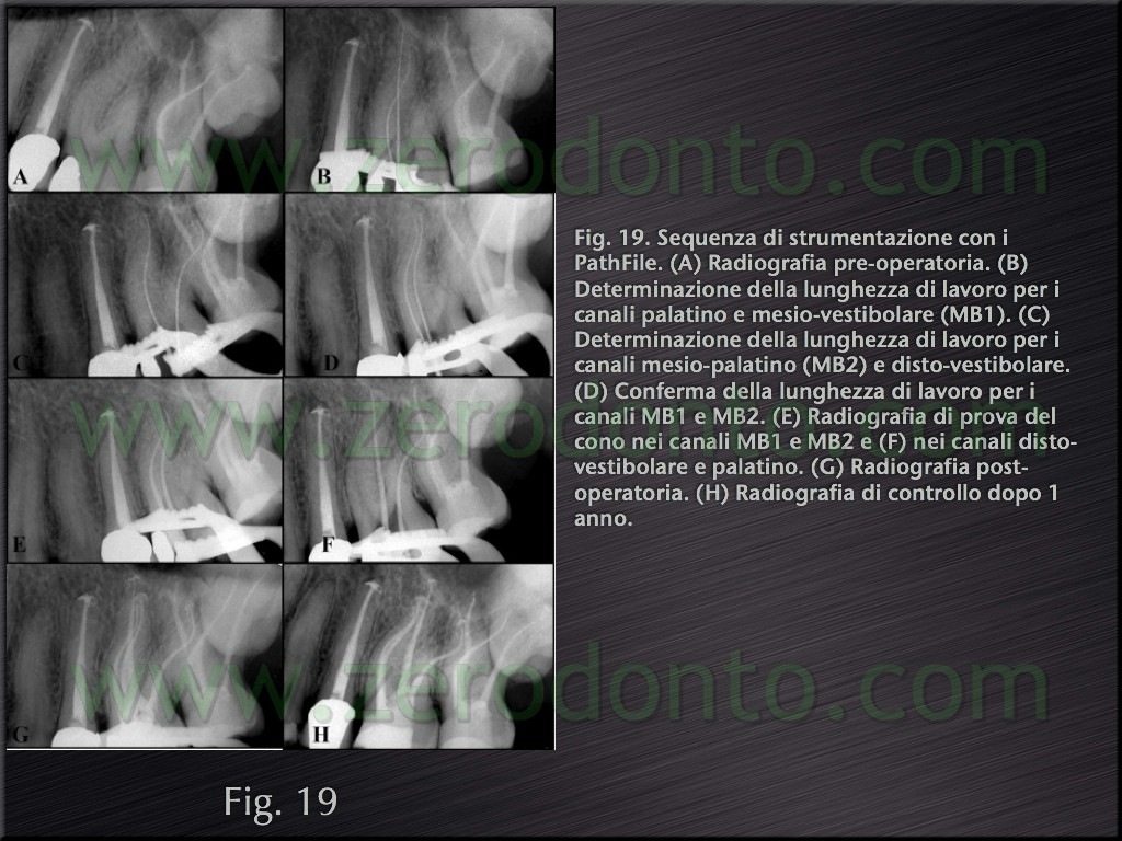 [Fig.19[4].jpg]