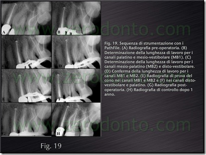 Fig.19