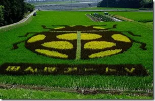 rice-art10-600x387