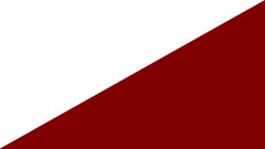 bandera1