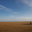 _MG_4684.JPG