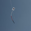 DSC01261.JPG