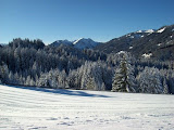 20100116_003.jpg