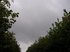dull heavy clouds