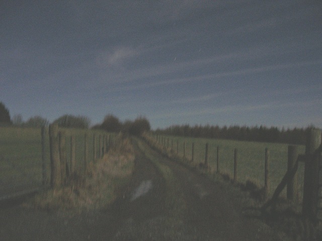[track_looking_up[11].jpg]