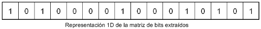 Matiz 1D de bits extraídos