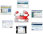 Usando feeds e o Google Reader