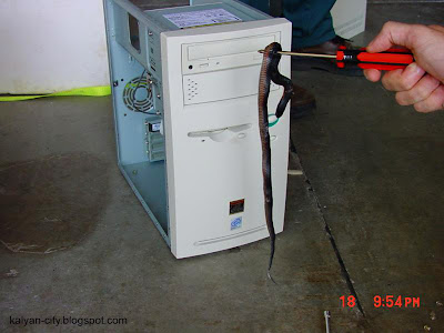 Snake removed from computer