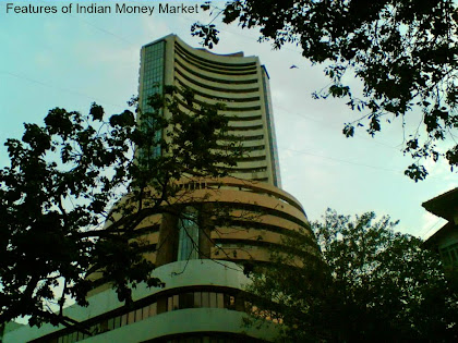 features characteristics indian money market