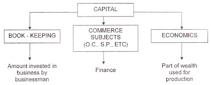 meaning of capital