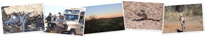 View Namibia 1