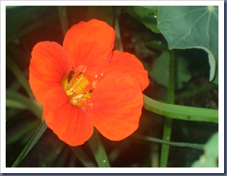 DSCF2265 DSCF2265