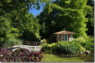 trädgård trädgård