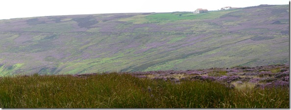 The Lion Inn perched on top of the moors