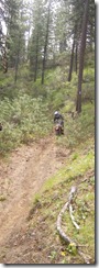 clip_image007 clip_image007