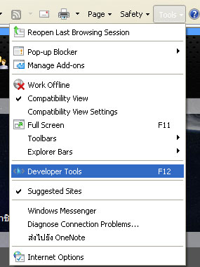ie developer tool