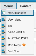 menu manager