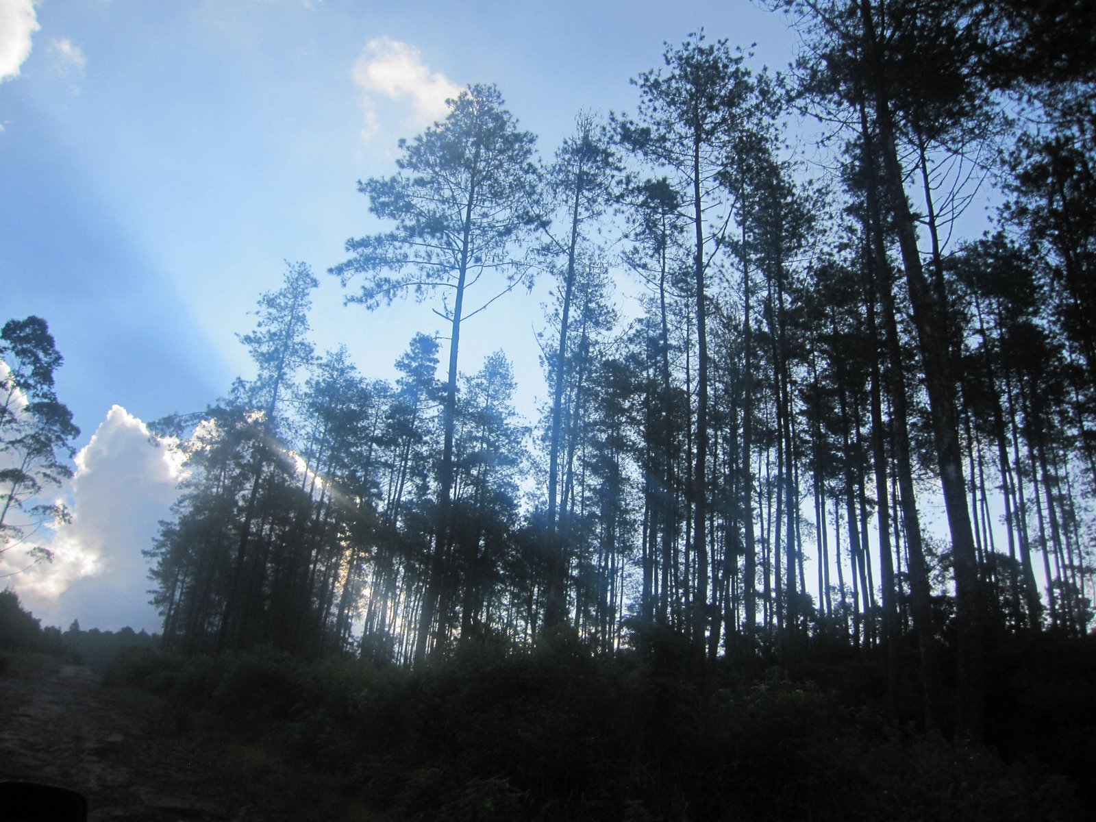 [IMG_05273.jpg]