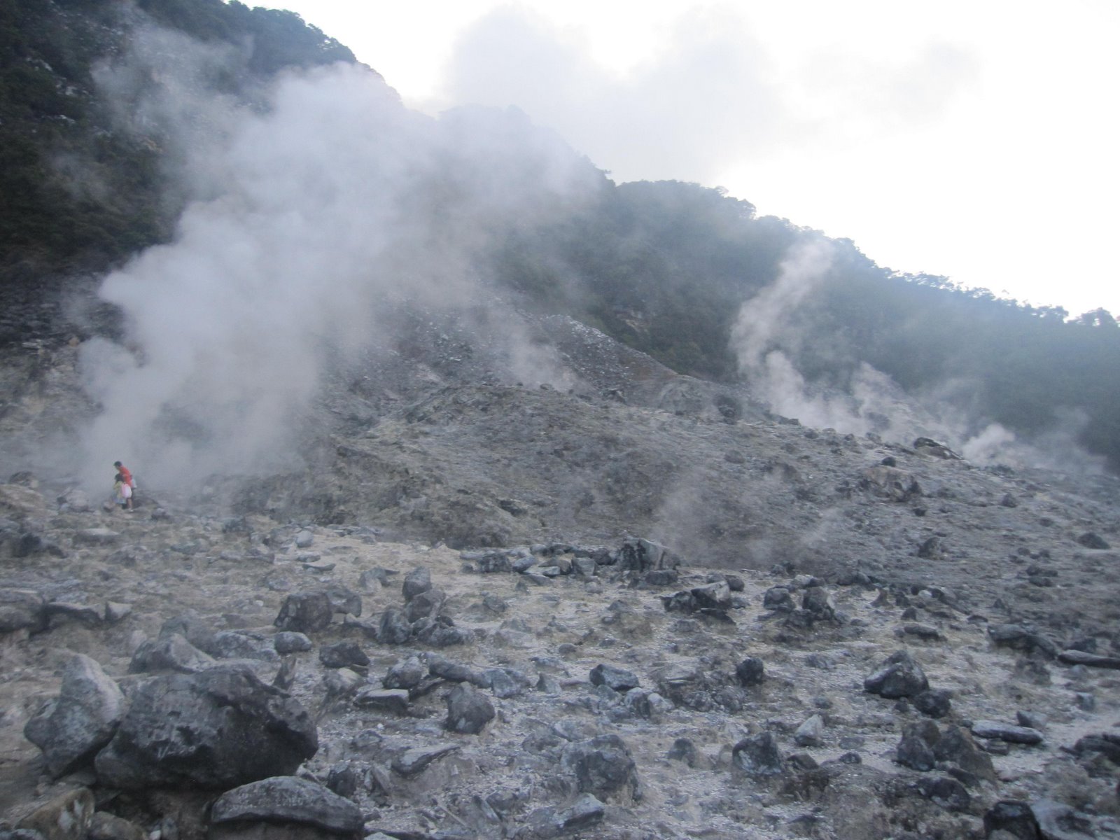 [IMG_05663.jpg]