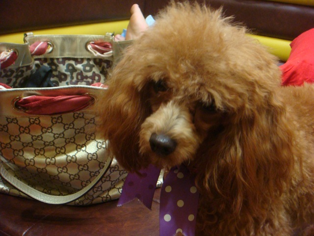 [DSC055302.jpg]