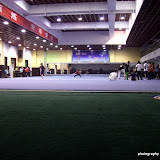 Wushu Hall