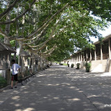 CIMG0703.JPG